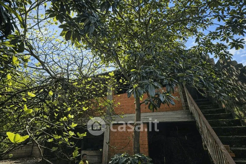 Garden - Independent House with Garden in Terralba