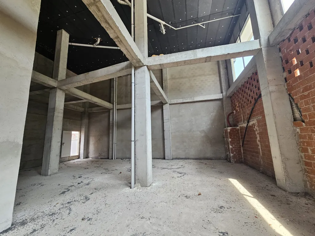 Property in Torrent