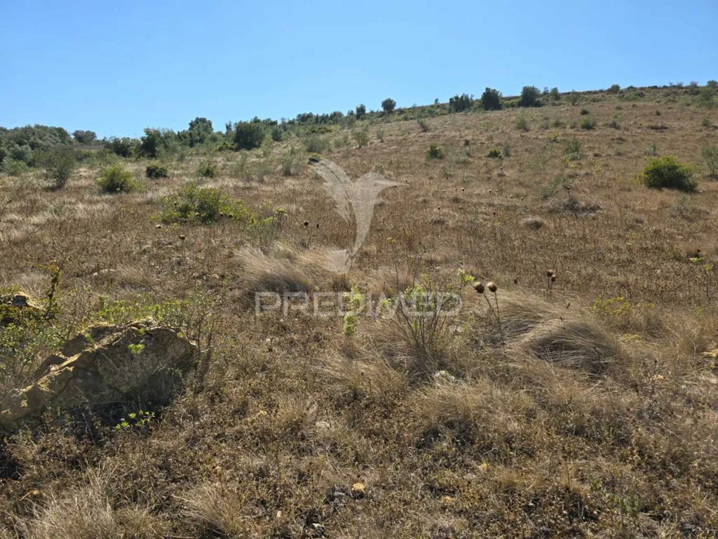 Jardin - Rustic Land with Approved Project in Mafra