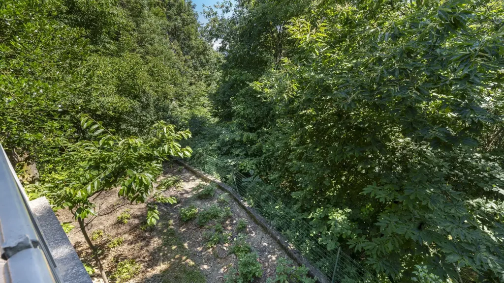 Balcon - Rustic Cottage with Woodland View in Roccabruna