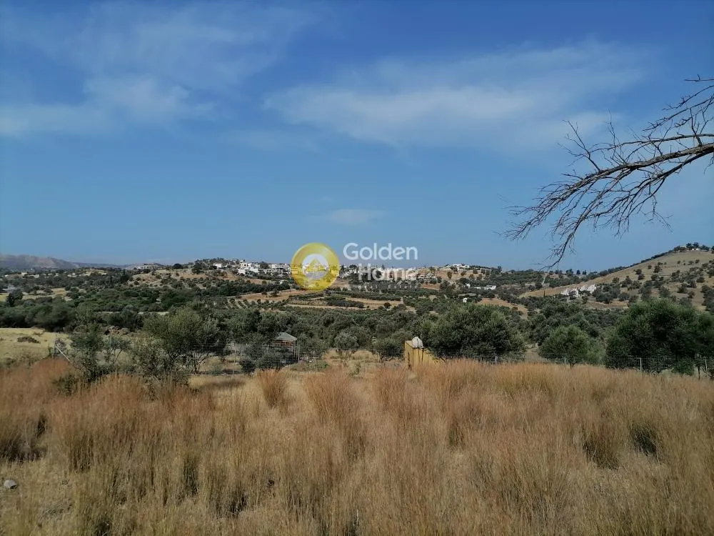 Jardin - Agricultural Plot with Mountain View in Phaistos