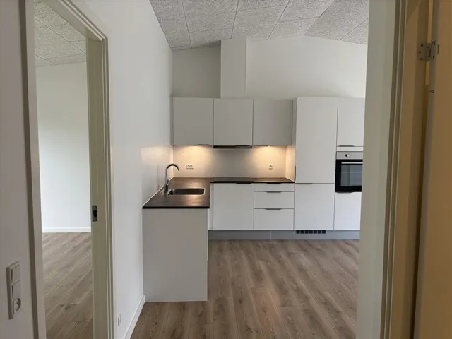 Cuisine - Contemporary Apartment with Balcony in Kolding