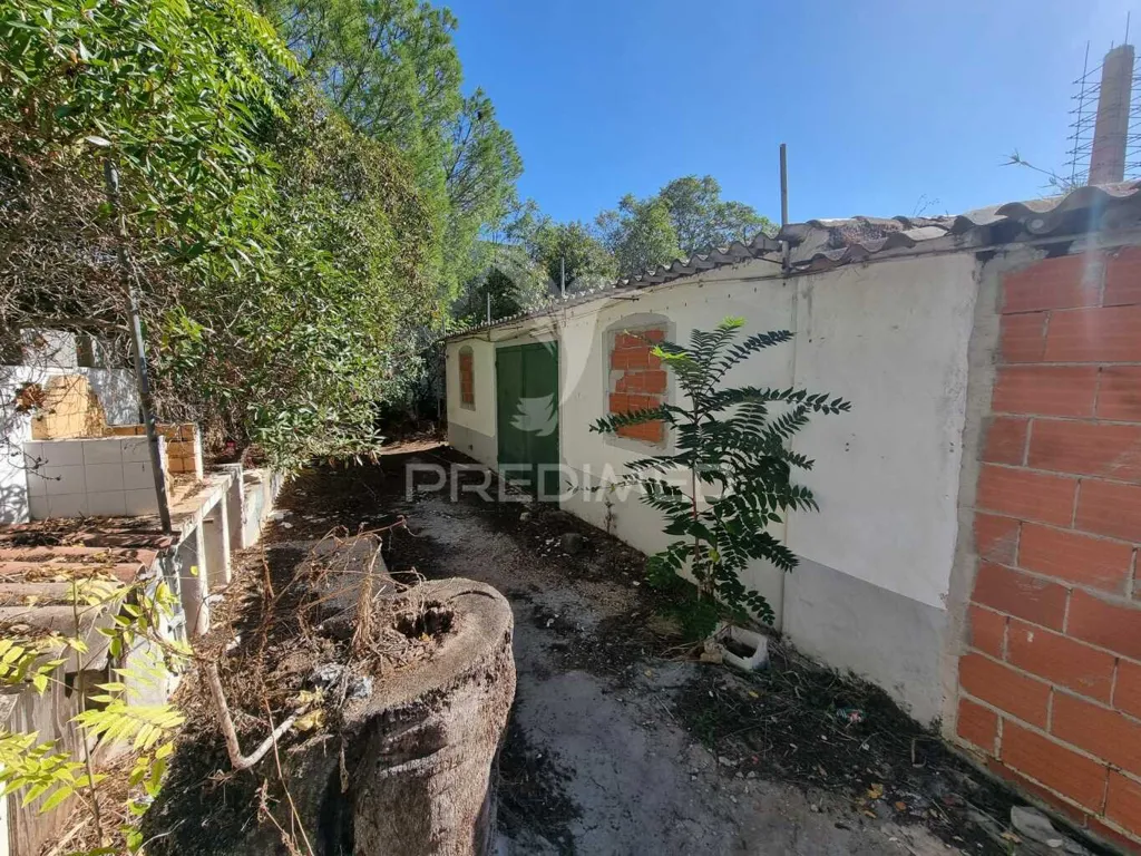 Aed - Buildable Plot with Ruin in Loulé