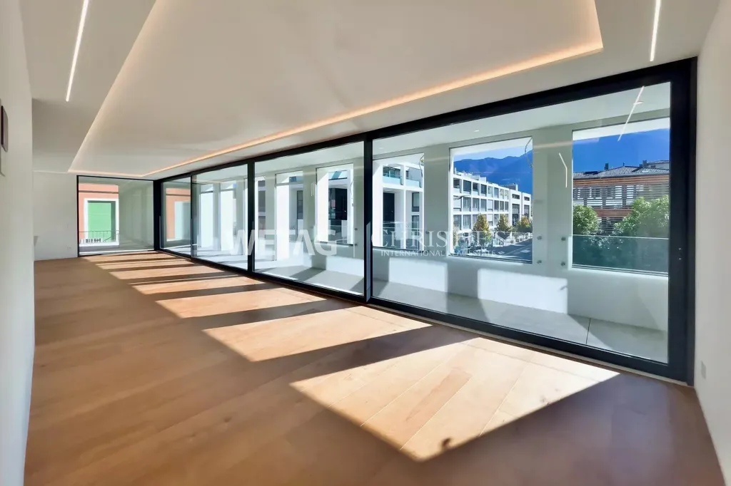 Séjour - Modern Apartment with Terraces in Ascona
