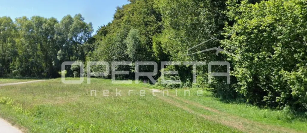 Garden - Detached House with Forest View in Kelemen