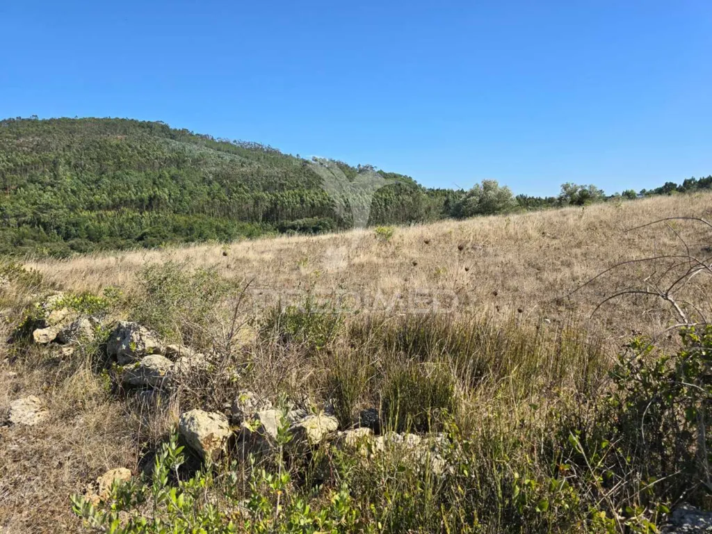Jardin - Rustic Land with Approved Project in Mafra