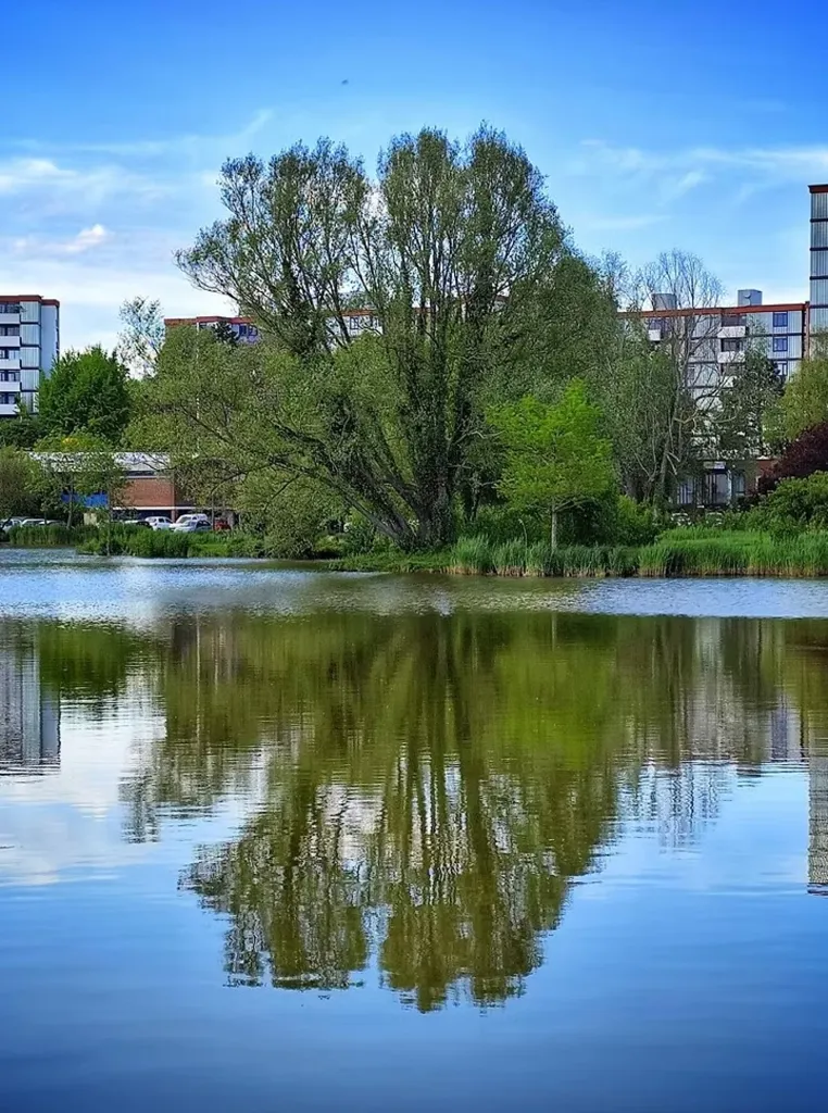 Furnished Flat with Balcony View in Amiens