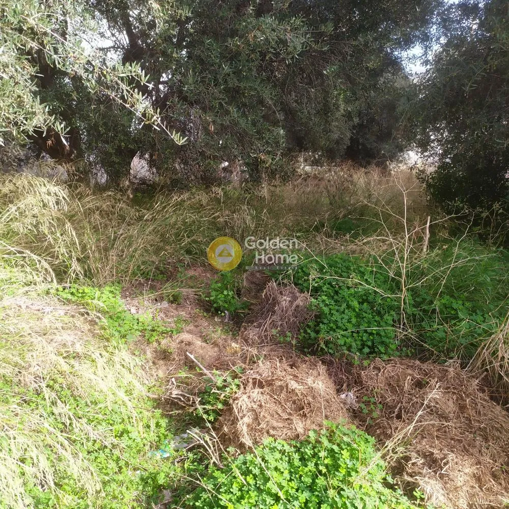 Giardino - Buildable Plot with Sea View in Agios Ioannis Knossou