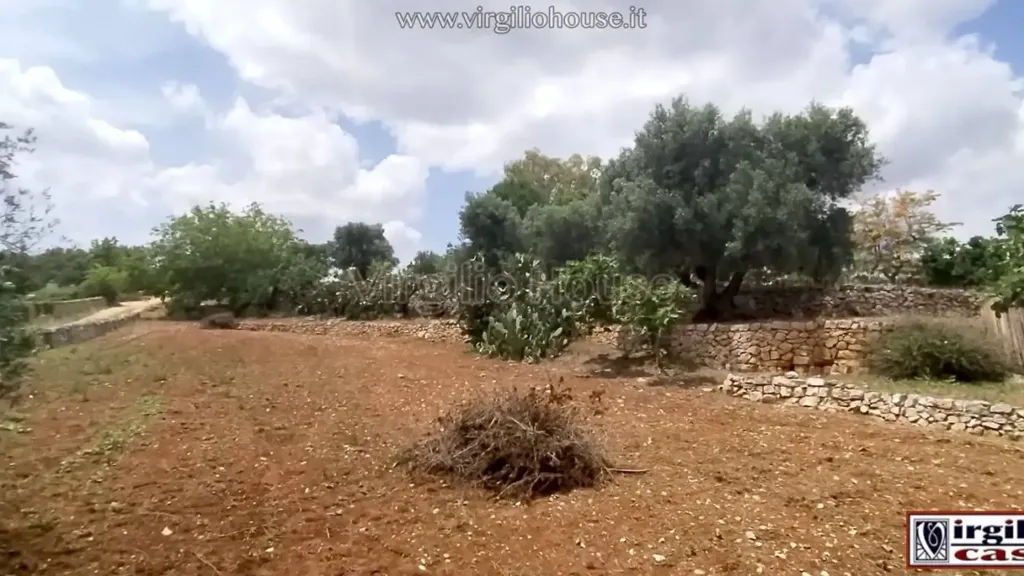 Garden - Typical Trulli House in Ostuni
