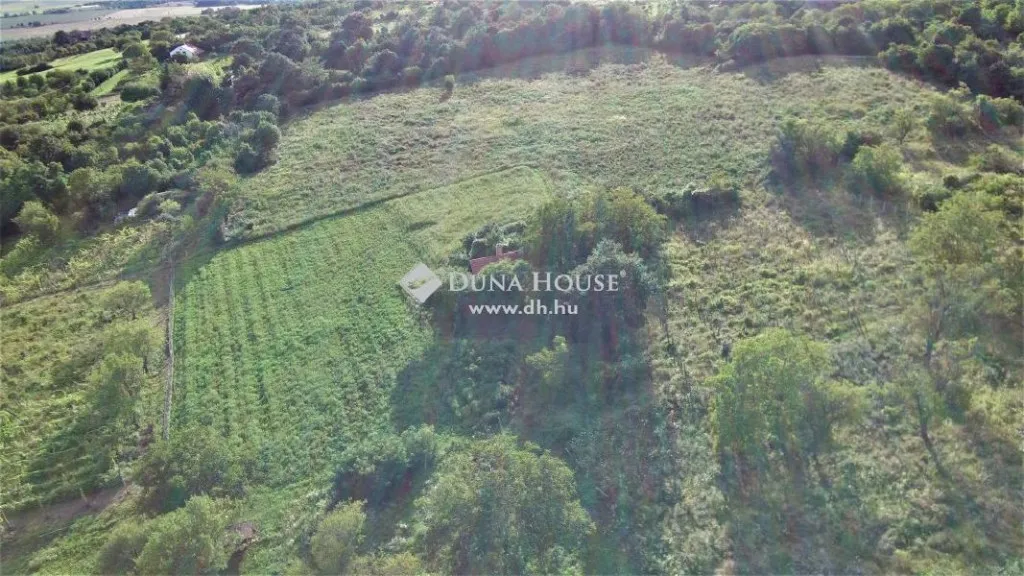 Õhuvaade - Panoramic Plot with Vineyard Potential in Köveskál