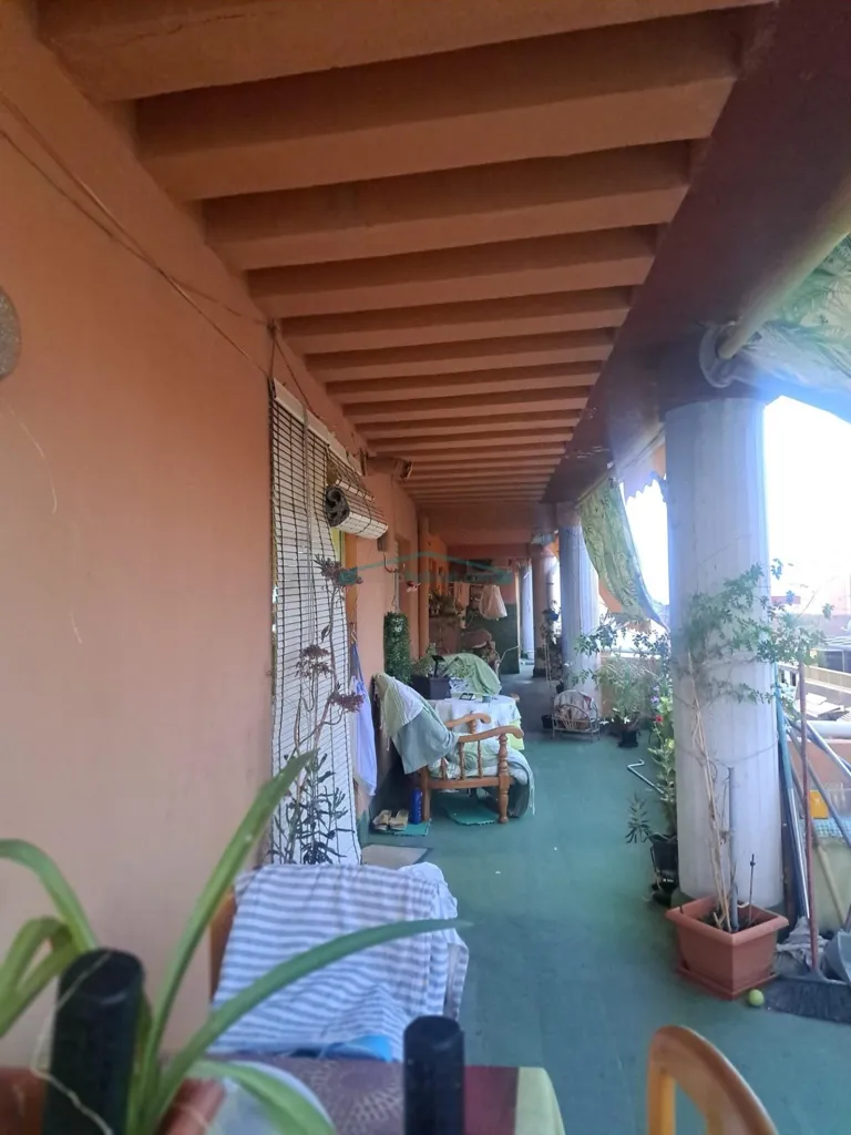 terrace_patio