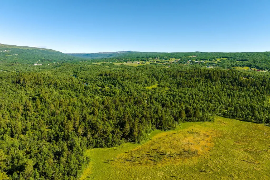 Õhuvaade - Exclusive Plot in Fjäll Environment, Bruksvallarna
