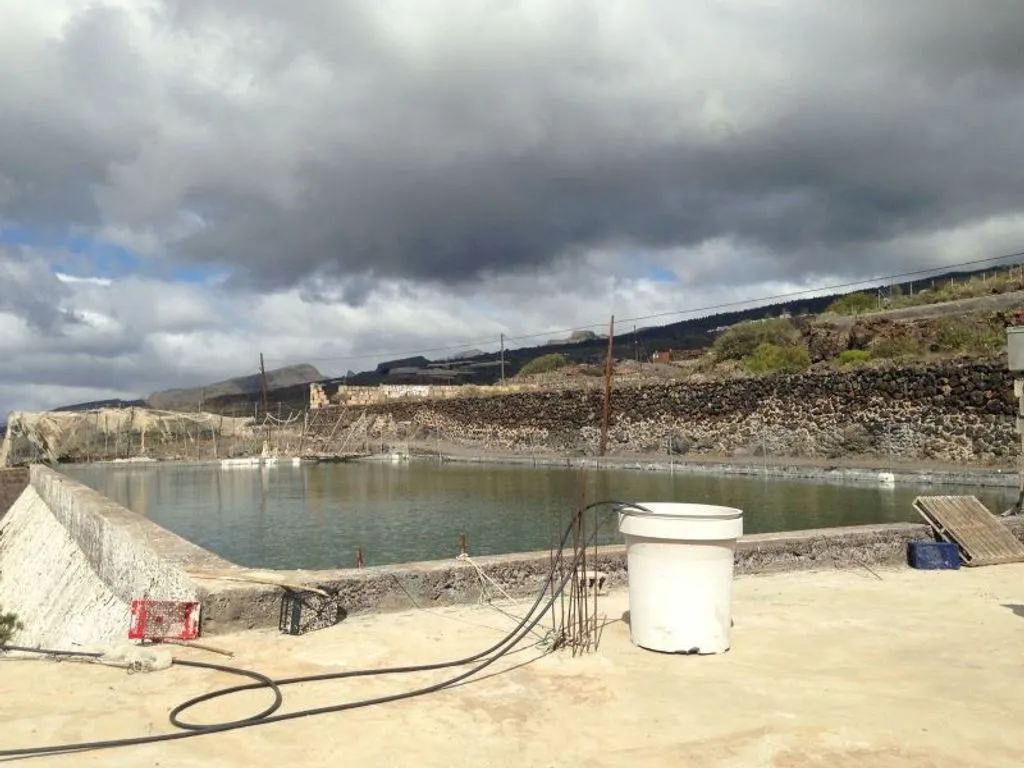 Pool - Land with Greenhouse in Guía de Isora