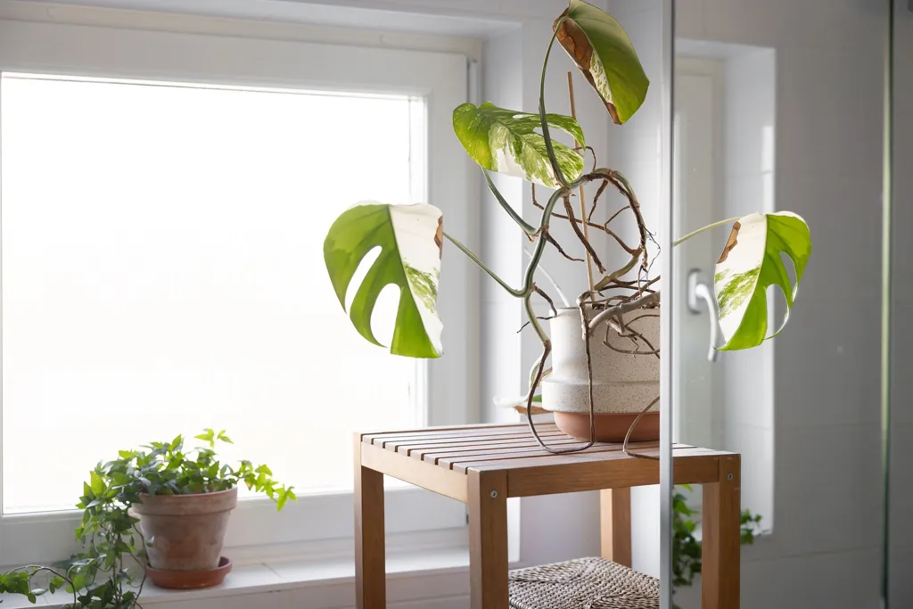 Bagni - Terrace Flat in Kärrtorp with Garden Access