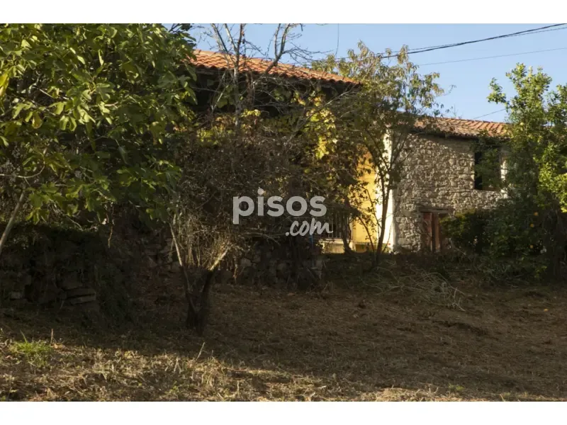 Exterior - Traditional Asturian Rural Complex in Buslaz