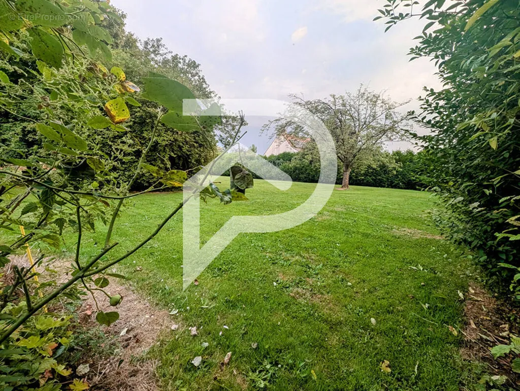 Jardin - Terrain à Bâtir avec Jardin à Le Coudray-sur-Thelle