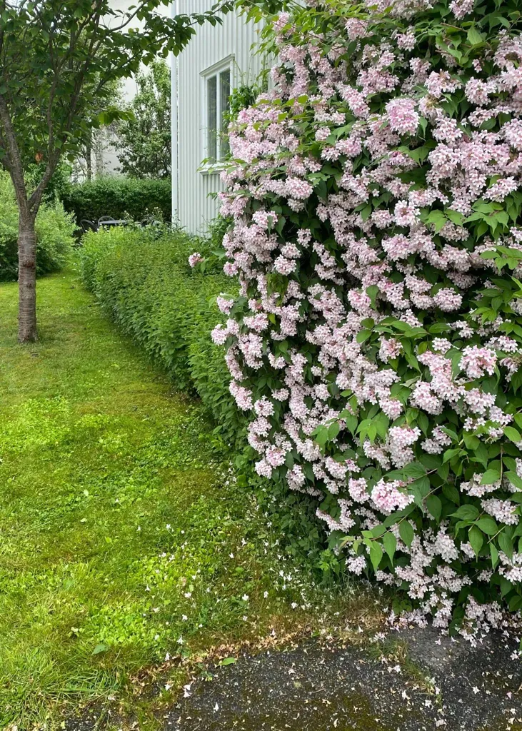 6-toaline maja asukohas Uppsala kommun