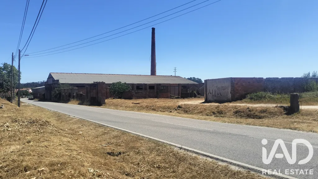 Rural Land with Expansion Potential in Tondela