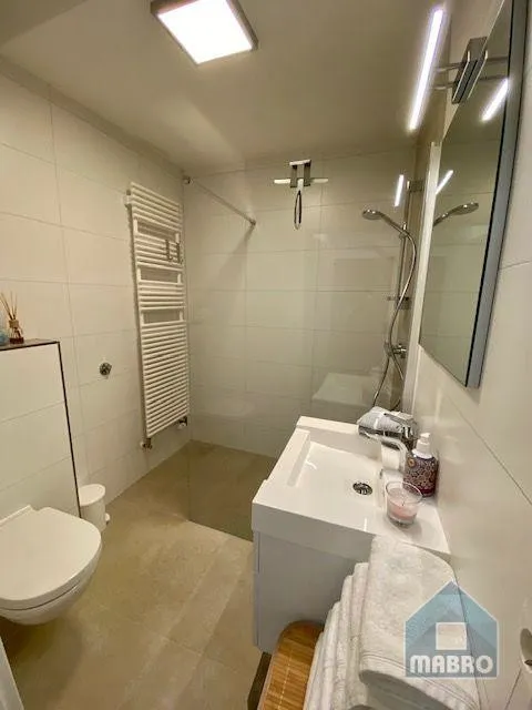 Vannitoad - Studio with Tram Access in Limpertsberg