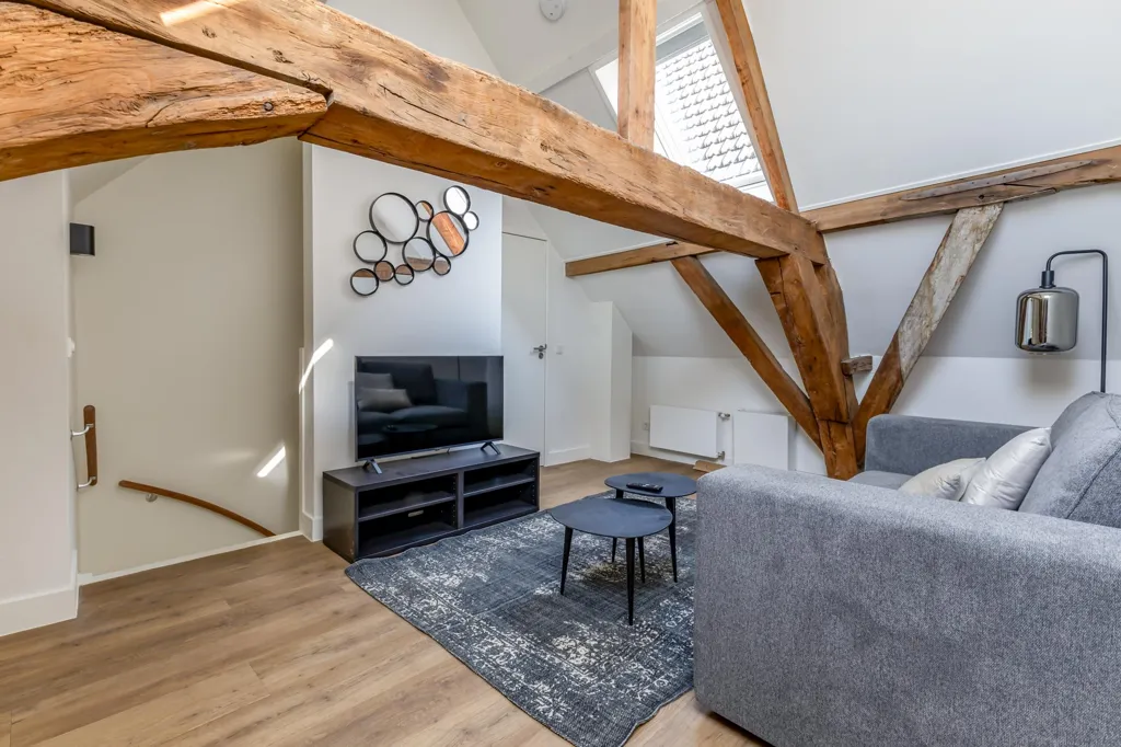 Soggiorno - Short-Stay Apartment in 's-Hertogenbosch Centre