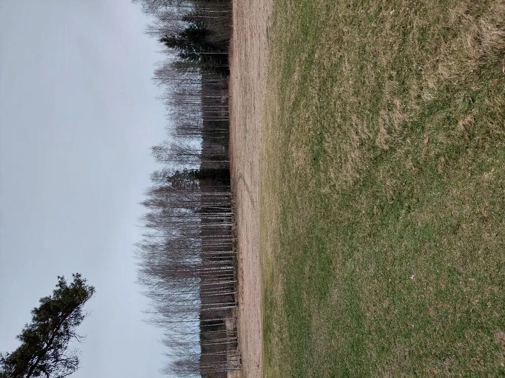 Terrain à Porvoo