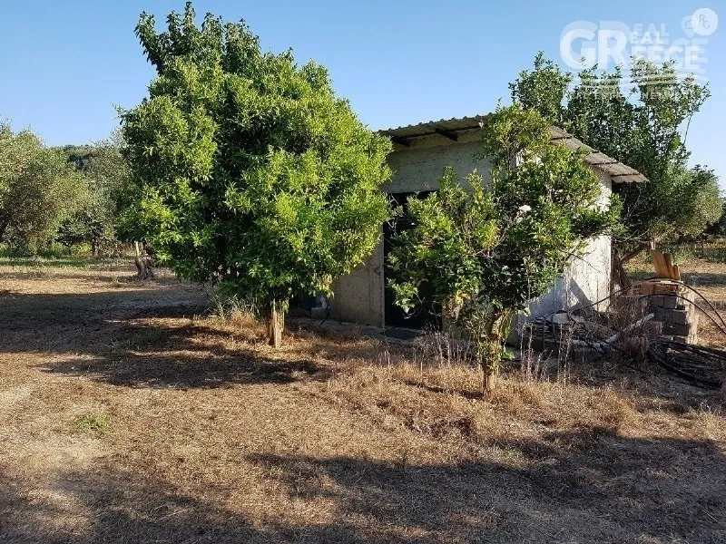 Jardin - Land with Olive Grove in Varbasiaina