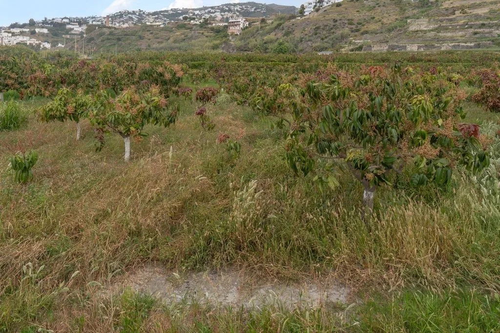 Aed - Development Land with Sea View in Salobreña