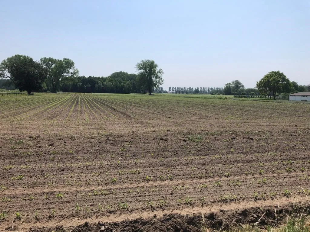Aed - Buildable Plot with South View in Lokeren