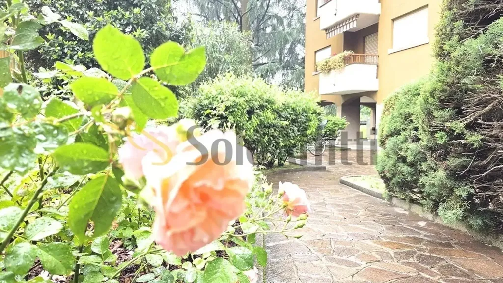 Garden - 3-room apartment in Milano