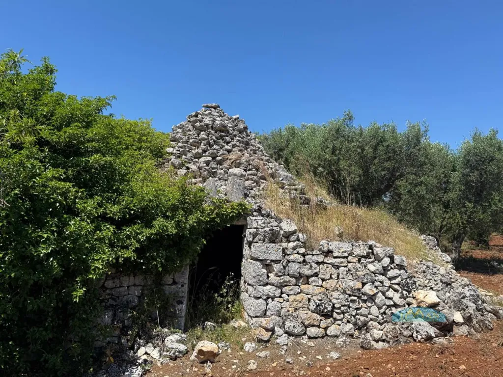 Extérieur - Trullo with Olive Grove in Ceglie Messapica