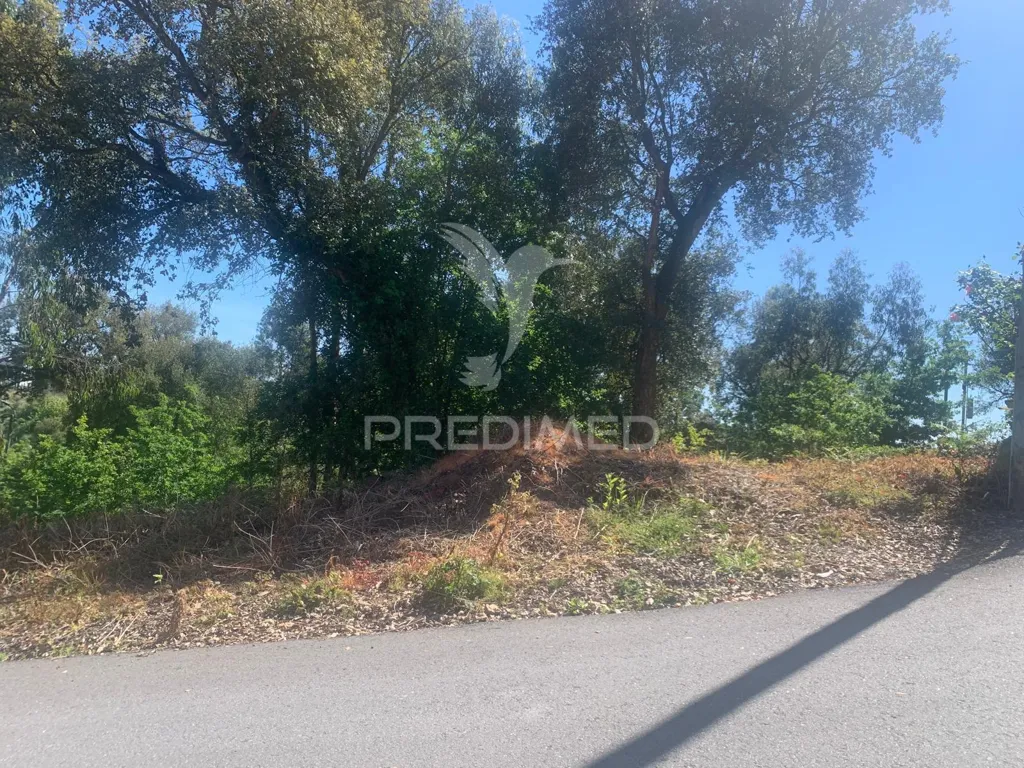 Aed - Development Land with Solar Exposure in Madalena