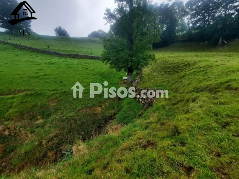 Jardin - Rustic Farm Complex with Cabañas in Valles Pasiegos