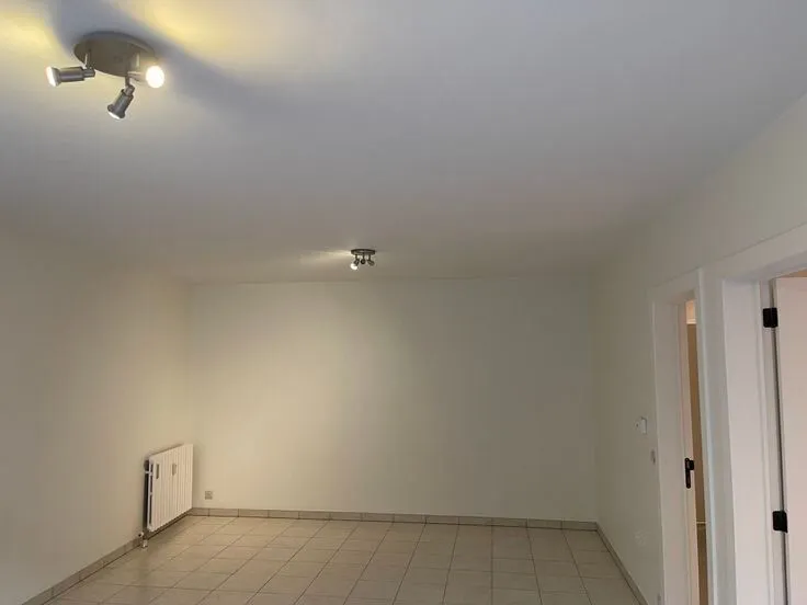 Rooms - Renovated Flat with Fireplace in Brakel