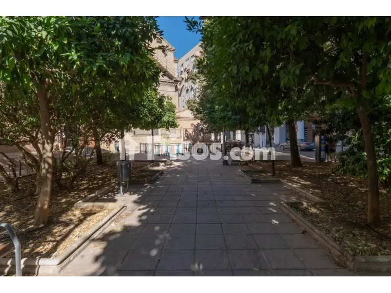 Garden - Renovated Flat with Northwest View in Alhamar