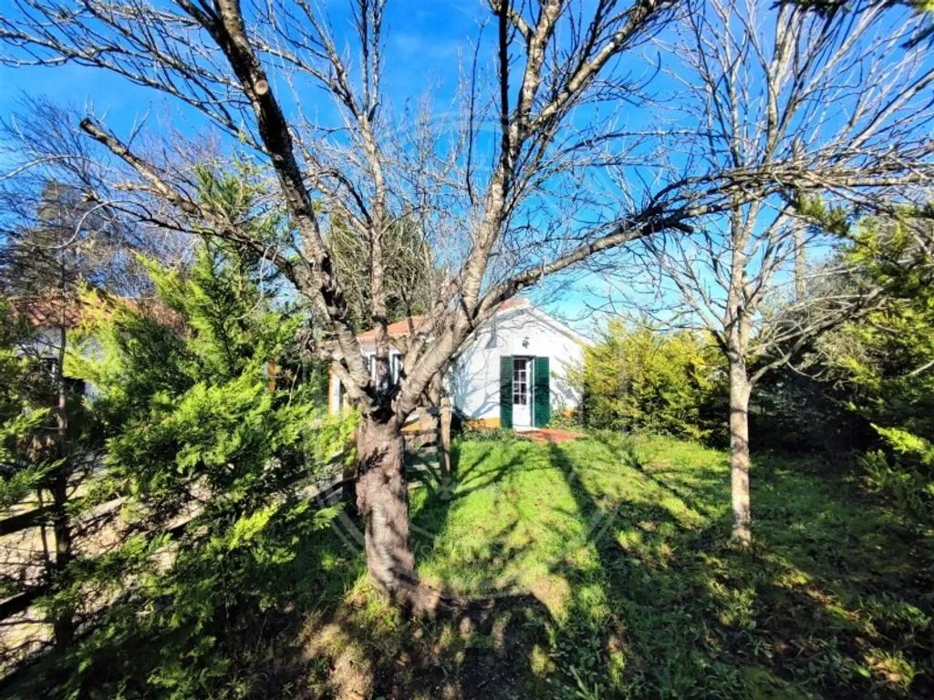 Aed - Luxury House with Pool in Tomar, Santarém
