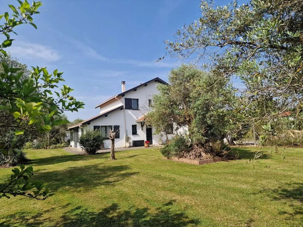 Jardin - Maison Traditionnelle avec Jardin à Ramous