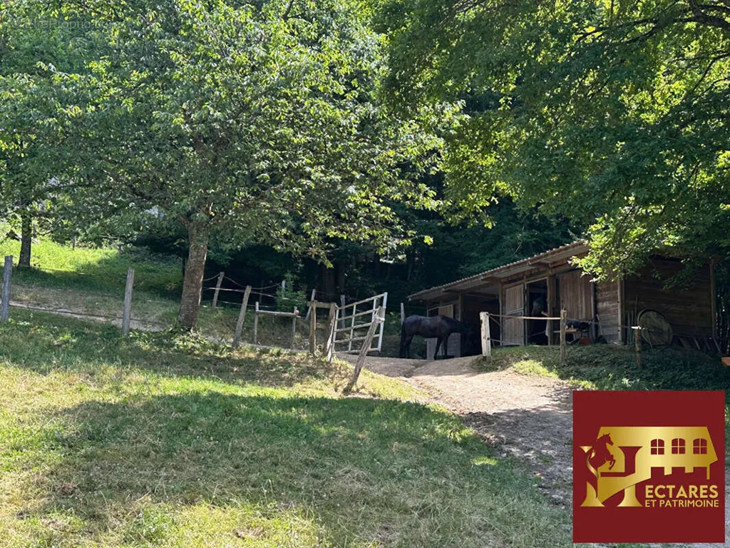 Aed - Historic House with Dominant View in Burgundy