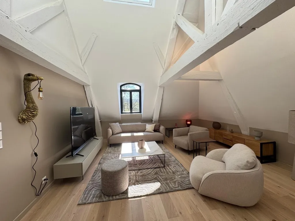 Séjour - Appartement Luxe Duplex à Lille avec Garage