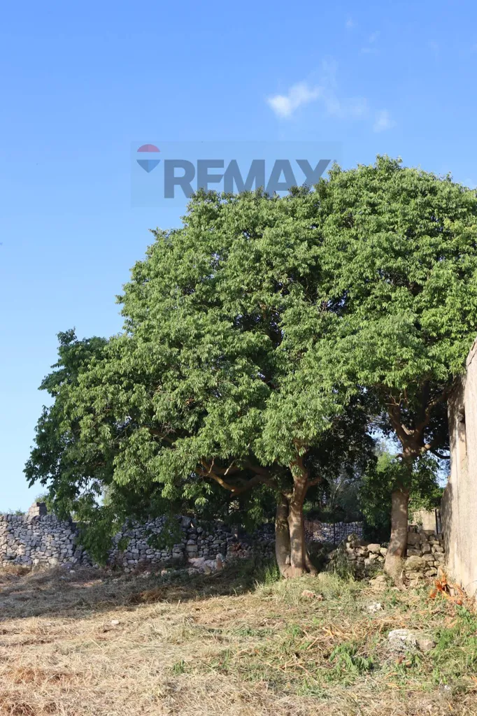 Jardin - Rustic Farmhouse with Private Garden in Ragusa