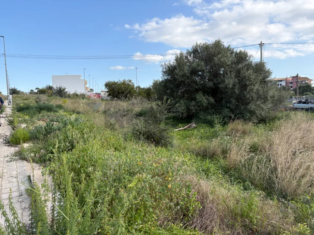 Giardino - Buildable Land with Urban Amenities in Ispica