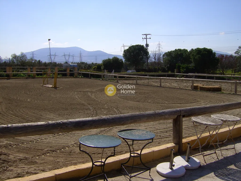 Aed - Plot with View in Koropi, Attica