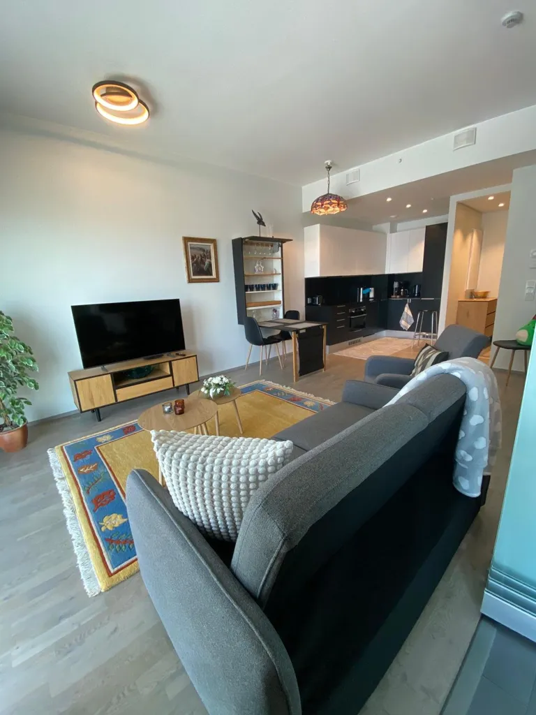 Séjour - Appartement 1 pièces à Helsinki