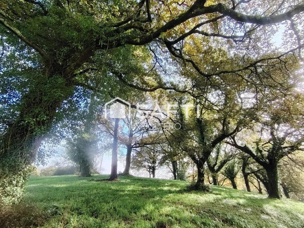 Jardin - Stone House with Large Plot in Negreira