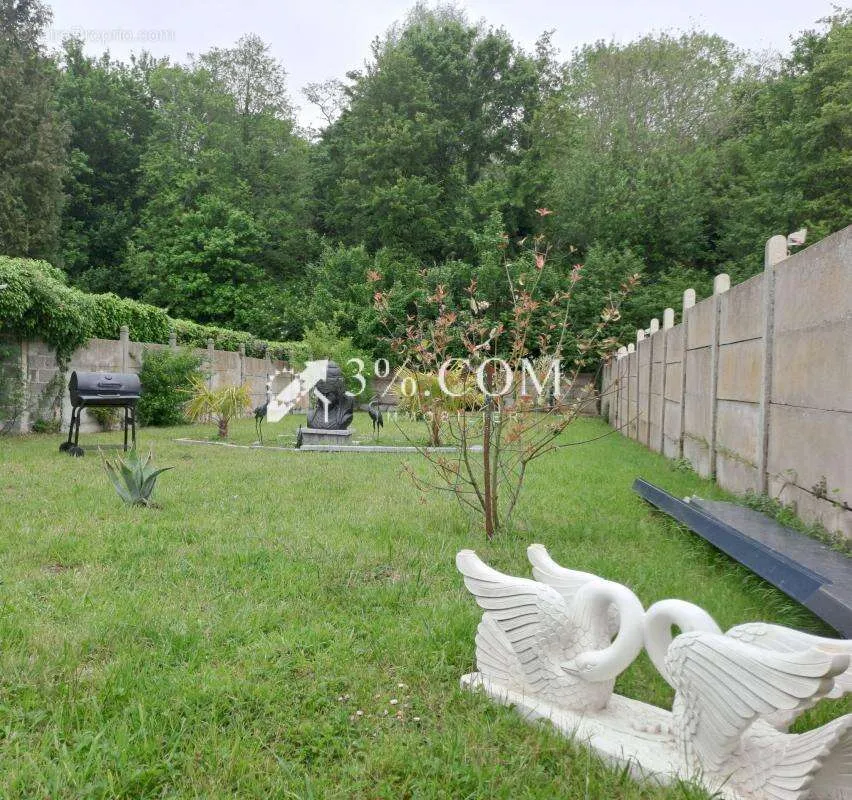 Jardin - Maison Individuelle avec Jardin à Vendin-le-Vieil