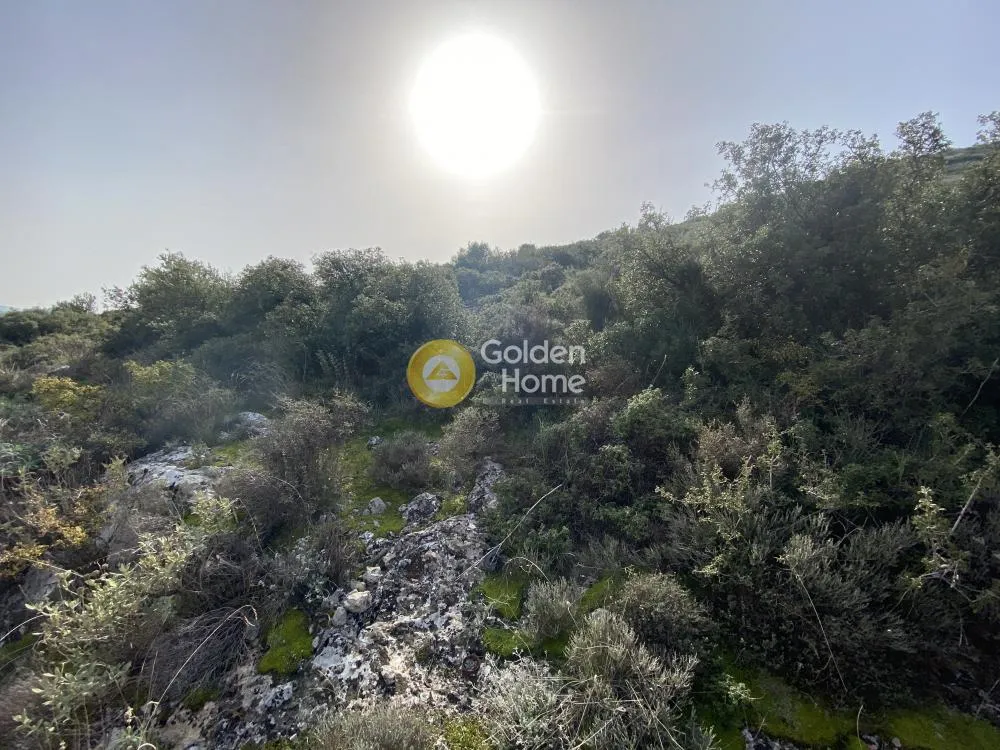 Garden - Buildable Plot with Panoramic Views in Chalkida