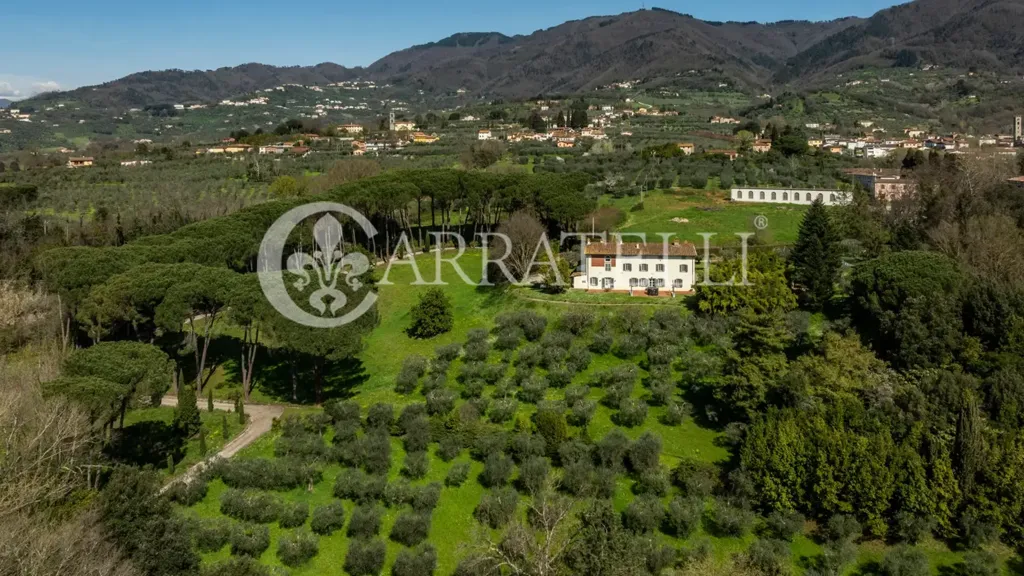 Õhuvaade - Historic Villa with Olive Grove in Capannori