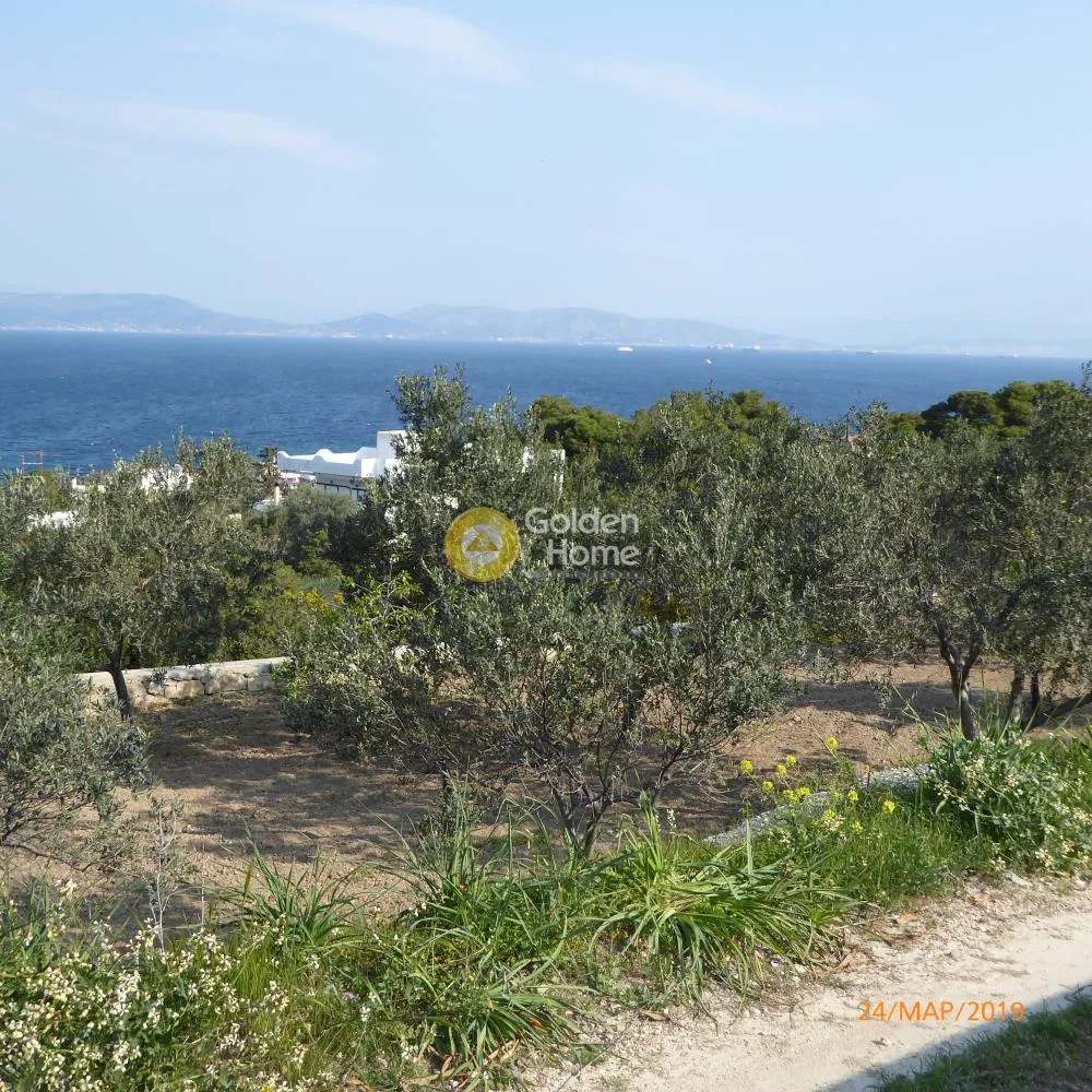 Aed - Plot with Panoramic View in Agia, Egina