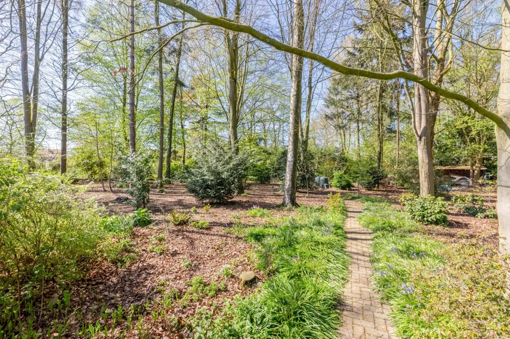 Garden - House with Enchanting Garden in Sint-Niklaas