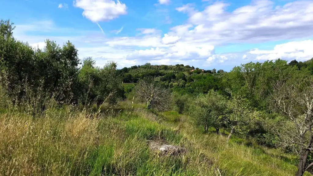 Jardin - Rustic Villa with Garden in Palaia