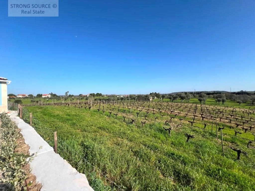 Jardin - Luxury Farmhouse with Pool in Ribatejo